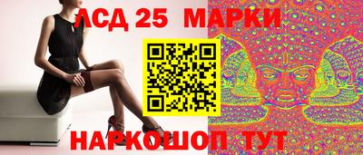 скорость Кингисепп