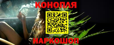 скорость Кингисепп